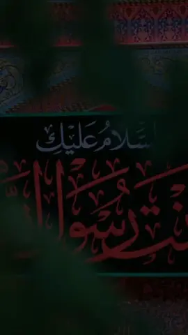 إللَهيِ نتوسَلِ أَليكُ بَضلعَ فَاطِمهَ الَمكِسورُ وَبُدموع زَيَنبَ وكَسرهَ روحُ عَليِ بفقدُ الزَهراء#استشهاد#فاطمة_الزهراء#ti̇ktok#مشاهدات #foryou 