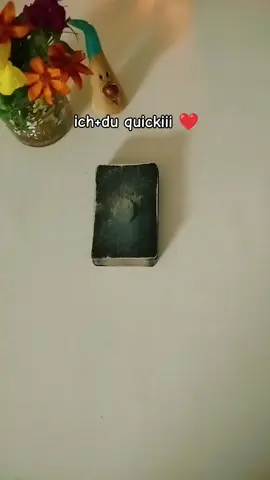 private Beratung bucht ihr per WhatsApp 👉 Nummer im Profil  Kartendeck Mondnacht Lenormand von Patrick Scheller 