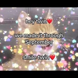 WE MADE IT TWIN WE MADE IT!!!! #cats #Love #viral #cute #yay 