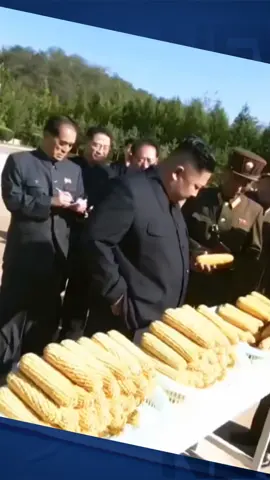 Nông nghiệp triều tiên #trieutien🇰🇵 #kimjongun 