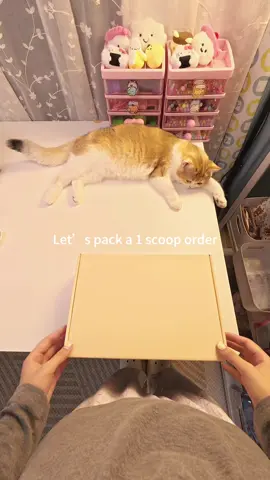 Hi Jackie, this is your order packing video, hope you like it!💕💕#luckyscoop #mysteryscoop #asmr #packingorders #mysterybox 