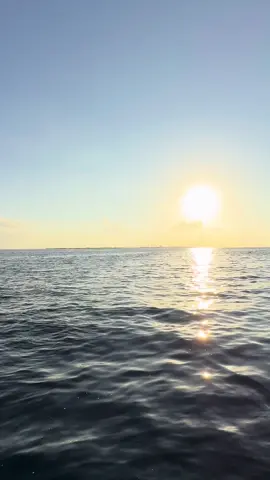 Memories 🌤️ #foryou #foryoupage #visitmaldives #memories #viralvideo 