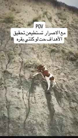 #السعودية #الرياض #جدة #الخبر #طاقة  @Aseel 