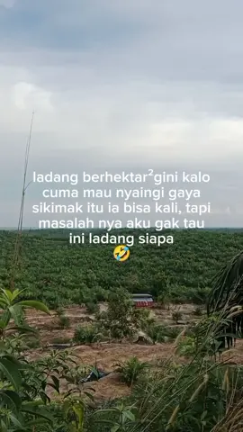 😂 _fyp _fyppppppppppppppppppppppp _sawit _kuli