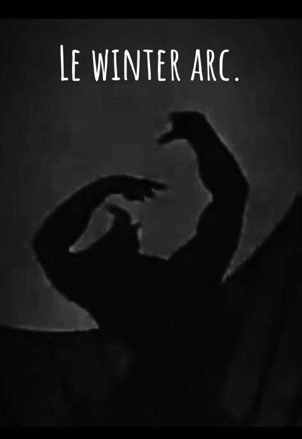 Pourquoi faire un Winter Arc ? #philosophie #santémentale #emotions 