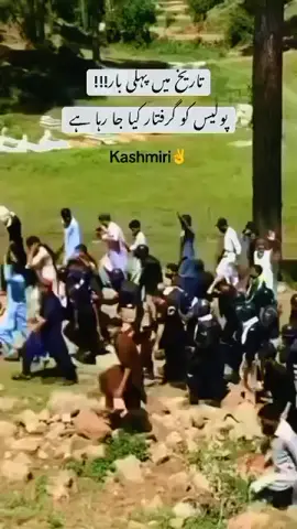 yah sirf kashmiri hi kar sakte hain#viralvideo #fyp #fyppppppppppppppppppppppp #fyppppppppppppppppppppppp #