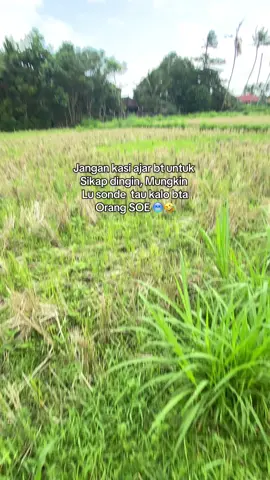 🤣🤣🤣 #nttpride🏝🔥  #fyppppppppppppppppppppppp  #tiktokviral  #sawah 