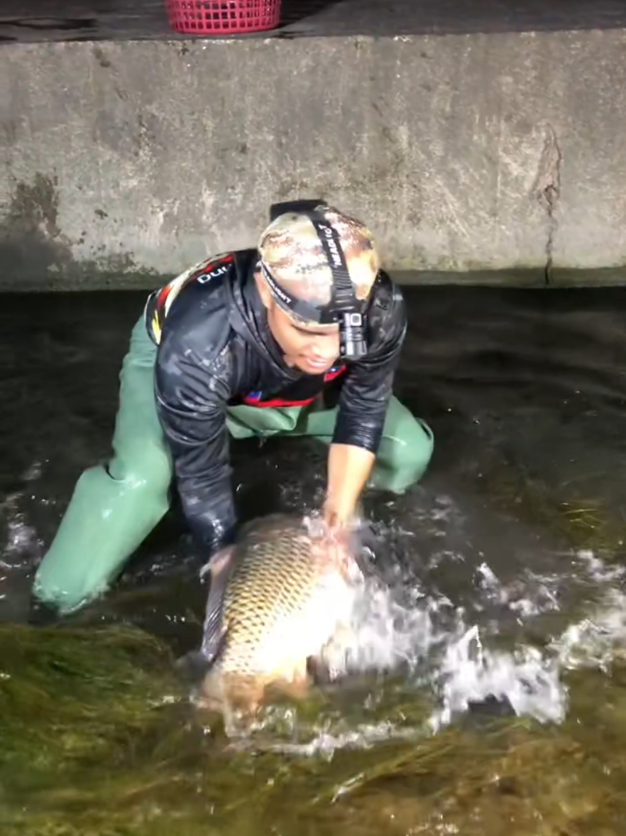 Flooding of fish 🐟#netfishing #handfishing #ruralfishing #fishing#catchingfish 