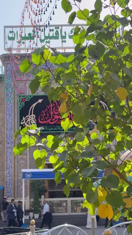 اللهُم صلِ على مُحمد والـِ مُحمد🤎. ـ ـ ـ #اللهم_صلي_على_نبينا_محمد  #اللهم_عجل_لولیک_الفرج  َ َ . . . #foryoupage #viral #fyp 