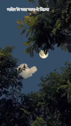 >>>>_____তারপর তাকে না বলতে পারা কিছু কথা, আসকে আপনাদের বলি। তাকে ভালোবেসে আমি অপরাধী, তাকে পাওয়ার জন্য আমি রাতের পর রাত কাদি। কেউ দেখে ফেলার আগে মুছে ফেলি চোখের পানি, মুখে রাখি হাসি তারপরেও সে অপরাধী কে আজ ও ভীষণ ভালোবাসি। অবশেষ সে আরেকটি ছেলের হাত ধরেছে ভুলে জাবে পুরনো সব স্মৃতি, 😅 আমাকে বাসতে হবে দেখতে হবে, আমাকে ছেড়ে গিয়ে কতো খানি শুখে আছে, দেখতে হবে শেষ পরিনতি। তবে আমি আপনাকে অভিশাপ দিবোনা আমি চাই আপনে ভালো থাকেন , তবে জেনে রাখেন এ অন্ধকার জীবনে কেউ একজন আসবে। যে আমাকে ভিশন ভাবে ভালোবাসবে, জালাবে এ অন্ধকার জীবনে আলো । তো আপনার জন্য দোয়া করি, আপানর প্রিয় মানুষটি যেন আমার থেকেও আপনাকে বেশি ভালোবাসে...!😅