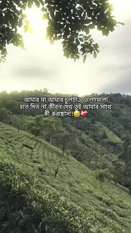 hee.!😅❤️‍🩹 #foryou #vairal #fypシ゚viral #tiktokbangladesh #tanding @TikTok @For You @TikTok UK 