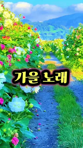 가을 노래 #갱번사랑 