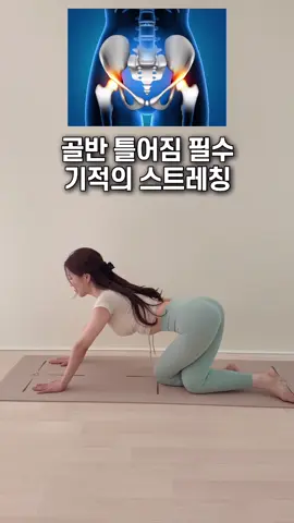 골반 틀어진 사람 필수 동작✨ 💡 1.네발 기기 자세에서 2.한 발 뒤로 크로스하고 3.엉덩이 뒤로 쭉 - 보내주세요 한 쪽당 10회씩 마지막은 10초 유지해주세요. 이 동작은 하체 순환을 도와 붓기 제거에도 좋고 허리 통증 개선과 골반 교정에도 효과적이니 저장하고 매일 반복해보세요.  도움이 되셨다면 저장하고 따라해보세요💓 친구나 가족에게 공유하고 같이하자🙋🏻‍♀️💌 -10kg 유지어터 필라테스 강사의 쉬운 홈트 • 식단 다이어트 정보는 @pila__jinseo 팔로우 하기🦋✨  #홈트#스트레칭#다이어트 #고관절#하체부종