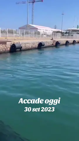 #accadeoggi