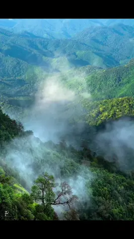 နှလုံးသားလေးကသိပ်တတ်ဖိုးရှိတယ်