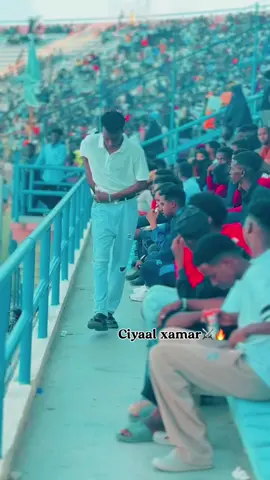 Ciyal xamr farxadoda iyaga abuurta wlhy💪🏼🤣❤️#aarkabari #muqdisho_somalia 