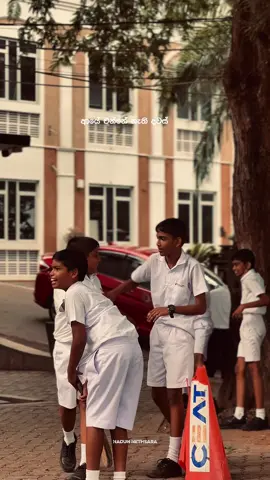 ඒ කාලේ 🥺❤️ #bandaranayakecollege #gampaha #memories #viralvideo #capcut @𝒯𝒽𝒶𝓂𝒾𝓃𝒹𝓊 🍂 @_𝑴𝑨𝑫𝑨𝒀𝑨_@S_DISHH 