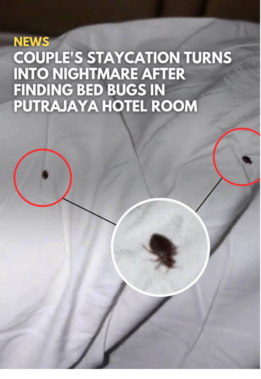 A couple’s staycation in Putrajaya allegedly turned sour when they discovered bed bugs crawling on their hotel bed. They claimed the staff showed little concern, prompting the woman to share her frustration on TikTok. The video has since gone viral with over 1 million views in less than a day. In a follow-up, she said the hotel manager reached out and gave them a full refund, though the hotel has yet to issue a public statement. SAYS has contacted the hotel for comment. Click the link or head to www.says.com for the full story. 🎥: @ceklatkek  #SAYSnews