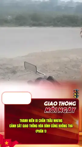 Thanh niên đi chăn trâu nhưng CSGT Hoà Bình cũng không tha #canhsatgiaothong #canhsat #giaothong #tintucgiaothong #xuhuongggggg 