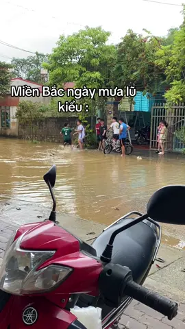 Nỗi khổ của miền Bắc 😌 #xuhuongtiktok 