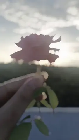 #onthisday হুম😌🥀#fypシ゚viral vedio#for you page#unfreez my account👃👃👃👃👃👃👃👃👃#tiktok,bangladesh 