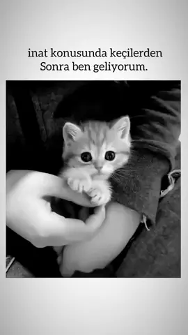 Herkes ve herşey senin gibi masum olsa 🥰🥰