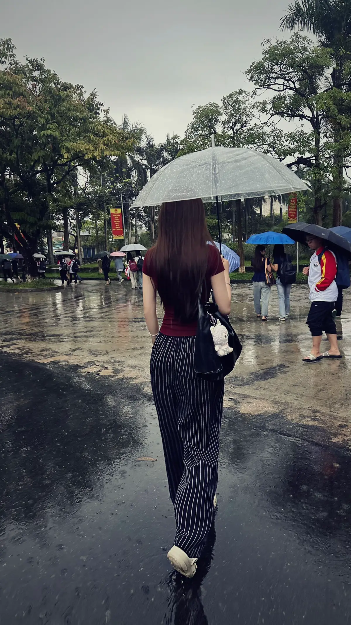 Một chiếc ô, hai người đi, ba kẻ ướt #tnut #sv 