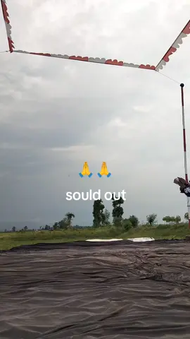 burung baru jadi...Alhamdulillah SOULD OUT 