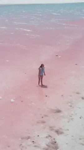 Must visit places in Western Australia - Hutt Lagoon 💕 The Pink Lake. How cool is Mother Nature! This was also the day I nearly lost a couple of fingers to the drone... oops! Left a bit of DNA in WA that day! #huttlagoon #pinklake