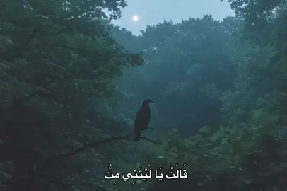#محمد_صديق_المنشاوي #المنشاوي #fyp #quran #🎧 