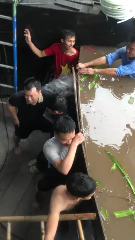 Mưa bão quá
