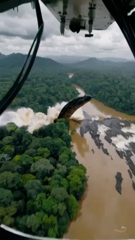 Secret Amazon Sighting: Military Drone Catches GIANT! 🤯 #Anaconda #AmazonRainforest #MilitaryFootage #GreenAnaconda