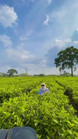 Ala ala india 🙈 #kemuningkaranganyar 