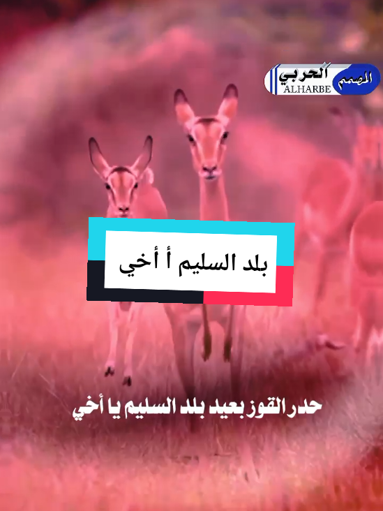 #CapCut بلد السليم أ أخي #استخدم_القالب_على_صورتك_وشاهد_الروعه  #تصميم_فيديوهات🎶🎤🎬  #شعراء_وذواقين_الشعر_الشعبي  #قوالب_كاب_كات_جاهزه_للتصميم 