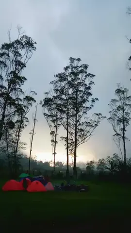 pesona wisata alam asri nan estetik di pagi buta bumi perkemahan kampung cai ranca upas ciwidey #pariwisata #rancaupas #wisataalam #rancabaliciwidey #bandungselatan 