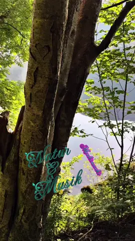 ein Kopf frei bekommen nach dem Dienst #Monkimonki #herzensmensch♥️ #entspannungszeit #naturliebe💚☀️🦋 