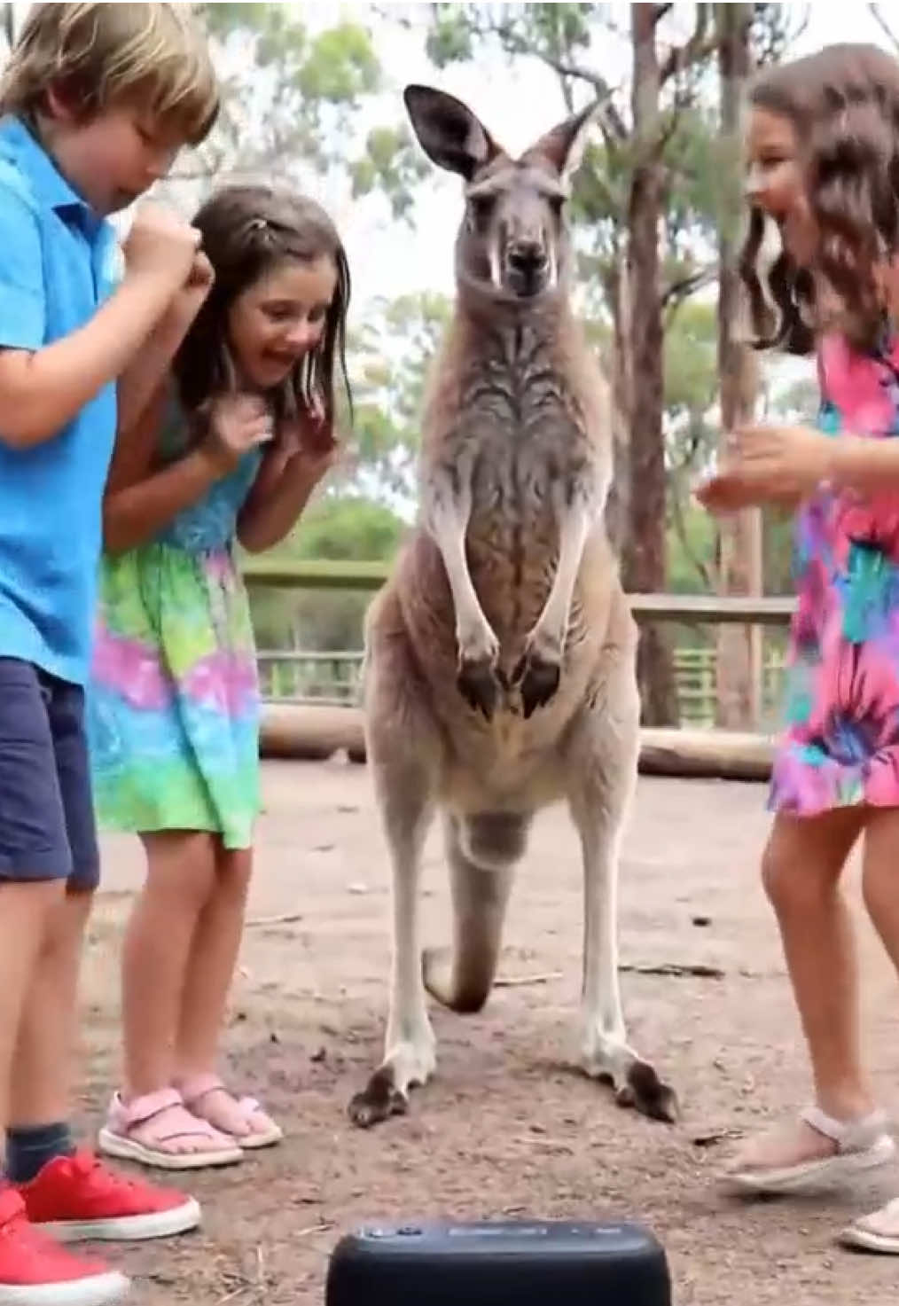Party time 🥳 #LanguageLearning #fentysuperbrandday #kangaroo #partytime #enjoying 