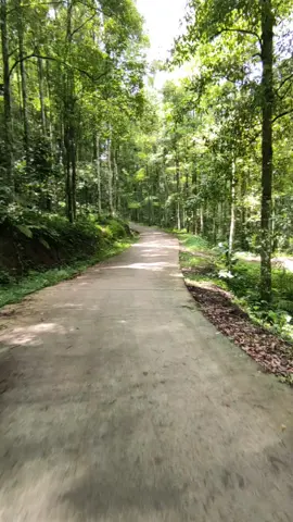 hayu tong ngalumuk Wae ah