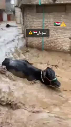 #الفيضان في السودان⚠️🇸🇩🥹