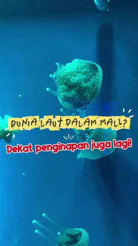 Dunia laut di dalam mall? Buruan deh ke Neo Soho Mall, ada Jakarta Aquarium & Safari aquarium indoor pertama di Jakarta! Apalagi pulangnya staycation terdekat sekitaran JAQS ngelengkapin liburan kamu dan keluarga😍 Jangan lupa download aplikasi RedDoorz dan pesan langsung dengan menggunakan kode voucher : YUKNGINEP agar lebih hemat😍 @RedDoorz Indonesia  #RedTravelers #bukasemuapintu #reddoorz #jakarta #wisatajakarta 