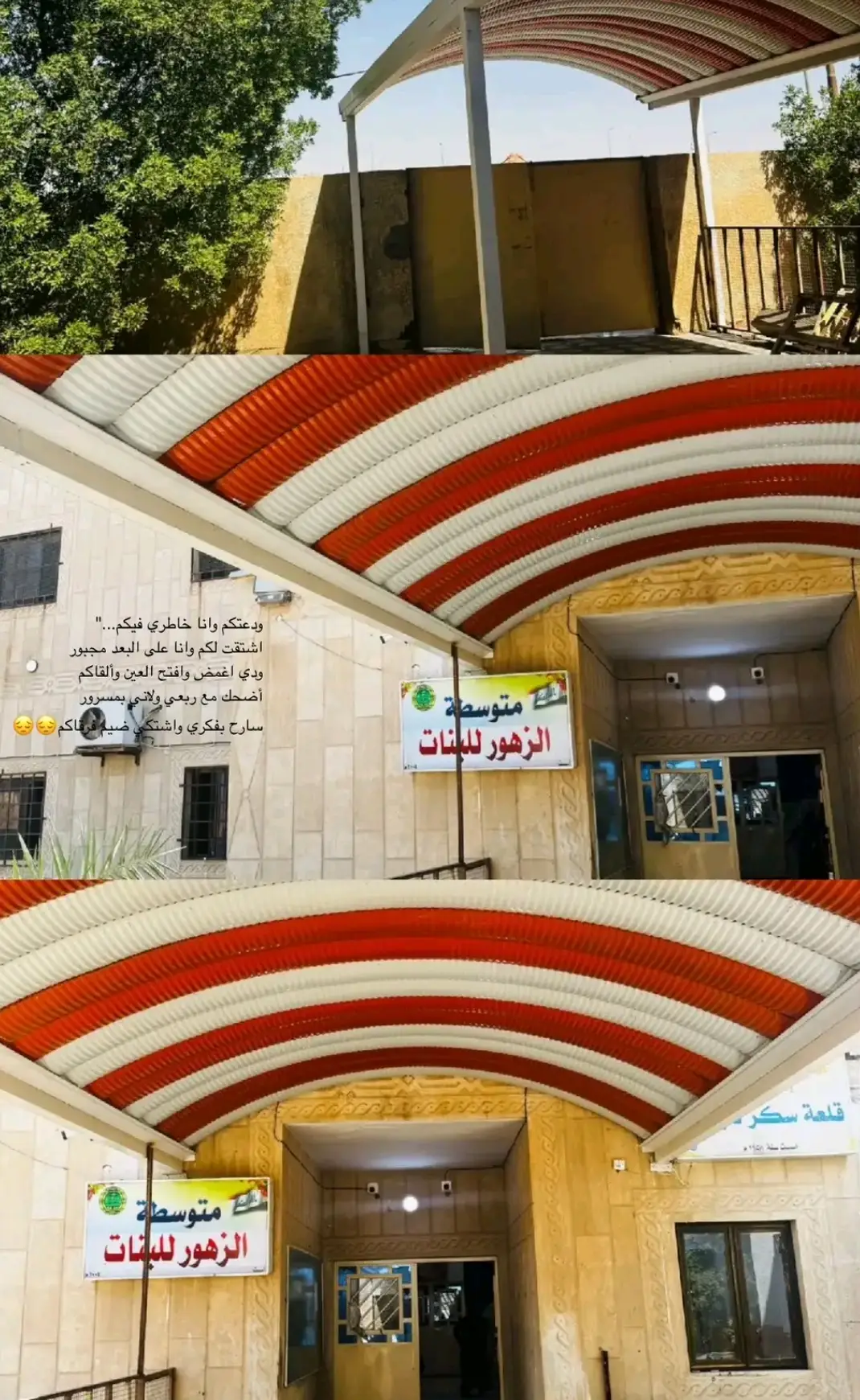 . @زَهراء . @رَقـية @Nakam  . #قلعه_سكر #🇮🇶 #fyb #الزهور #زينب 