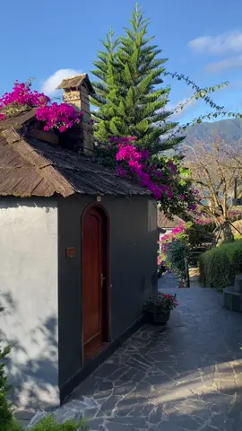 Về Bản với con đường làng Mông đầy hoa và nắng #tiktoktravel #dulich #sapa #themongvillage #xuhuong 