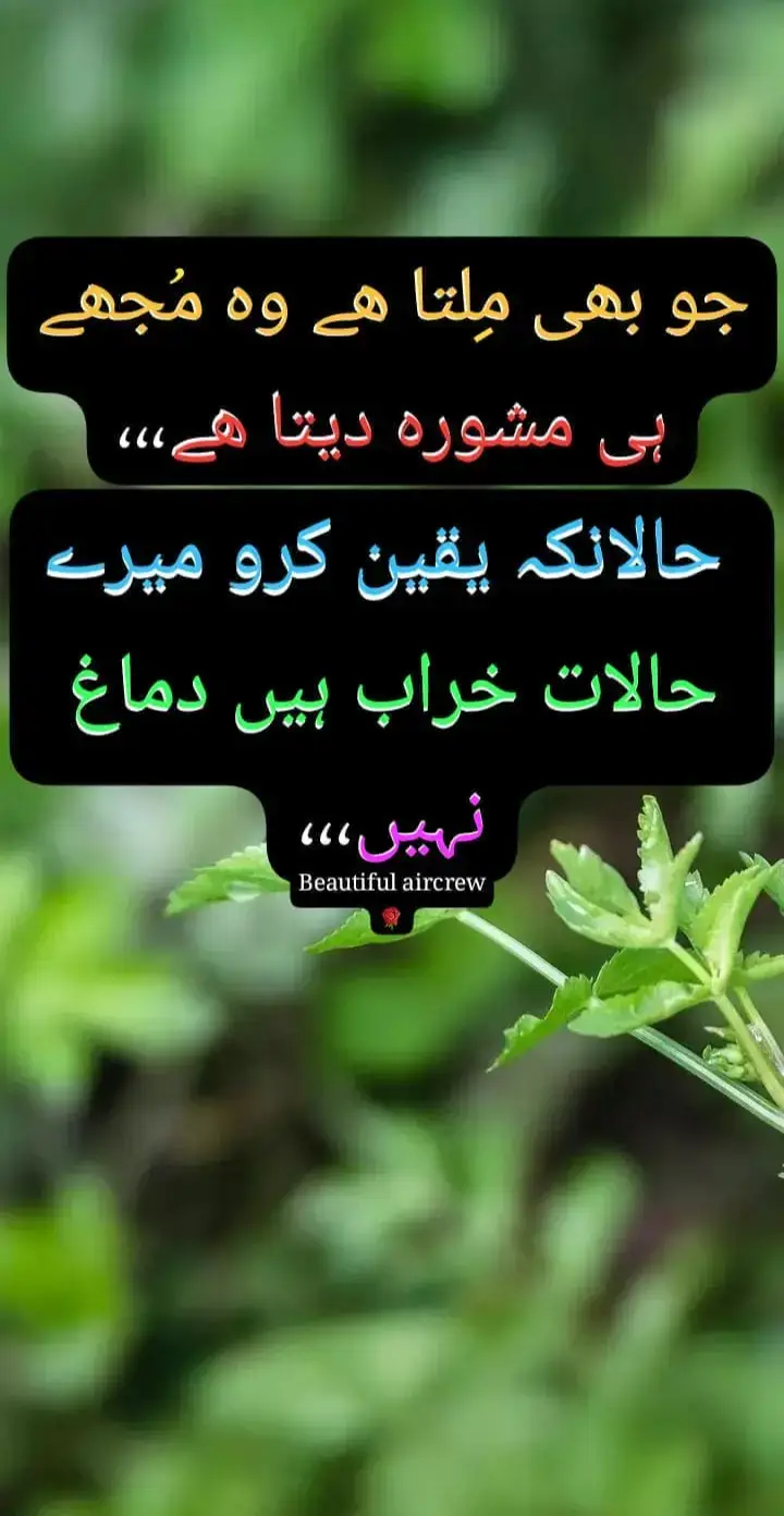 🇵🇰 پیارا پاکستان ہمارا پاکستان 🇵🇰
