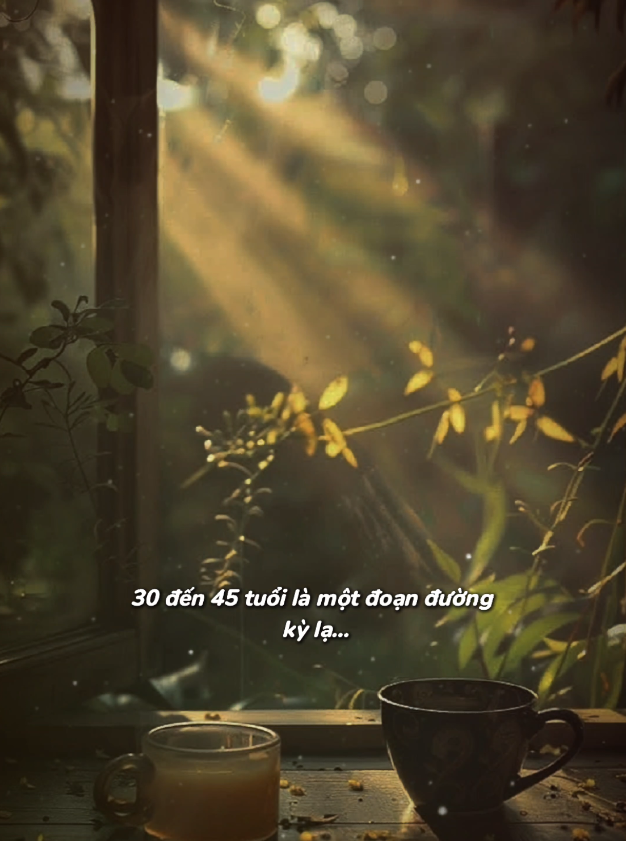 30 đến 45 tuổi là giai đoạn thấm thía của cuộc đời. Ai từng thấm trong giai đoạn này cho xin cánh tay 🥺🥺🥺 #tâmtrạngcuộcsống #tiktok #tâmtrạng #xuhuongtiktok #đàlạt 