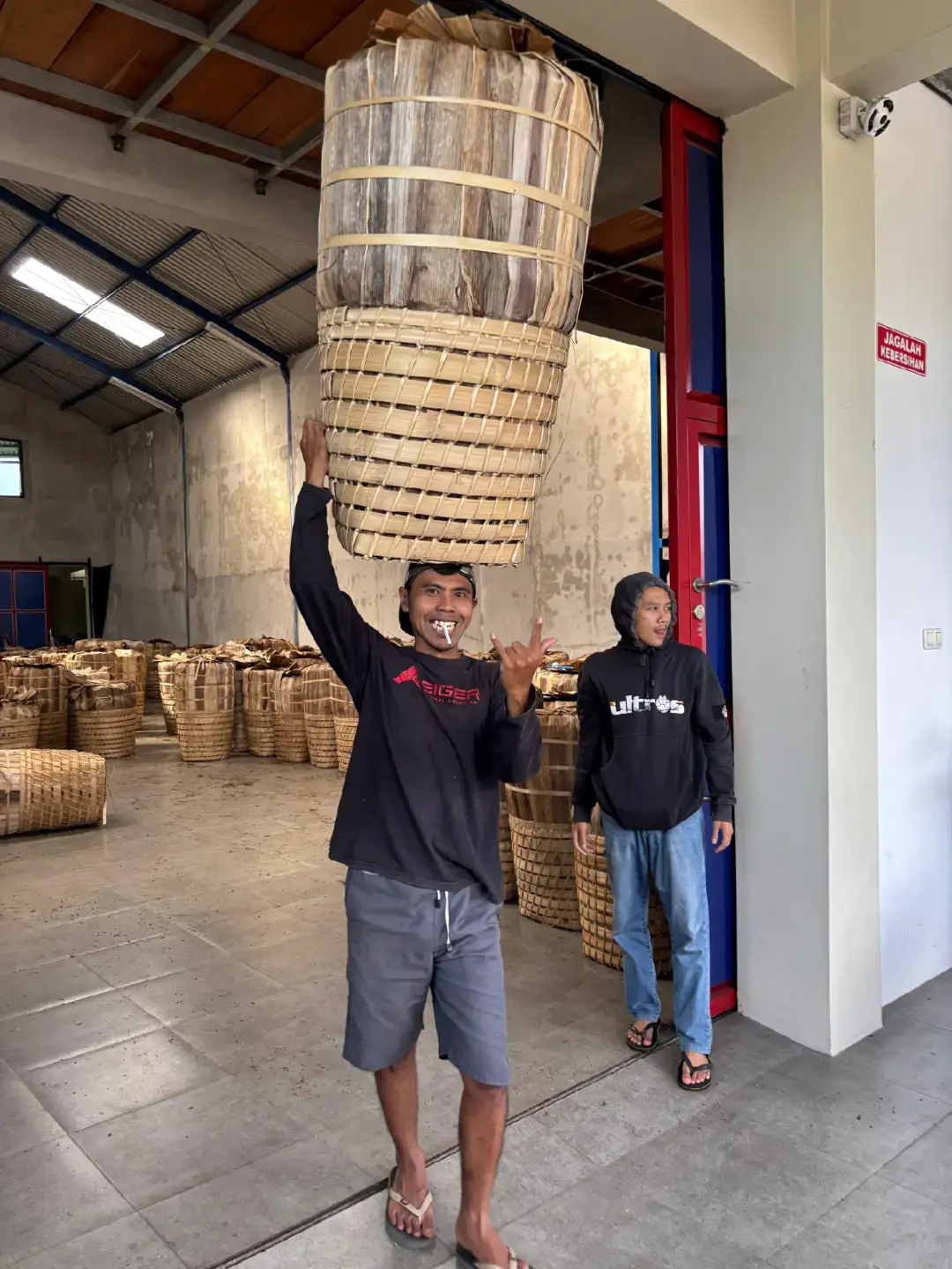Terimakasih pinggang sudah menaklukan September, kita hantam lagi hal yang lebih gila di Oktober 🔥 #tobacco2025  #lerengsumbing  #tembakautemanggung  #tembakauindonesia  #reels 