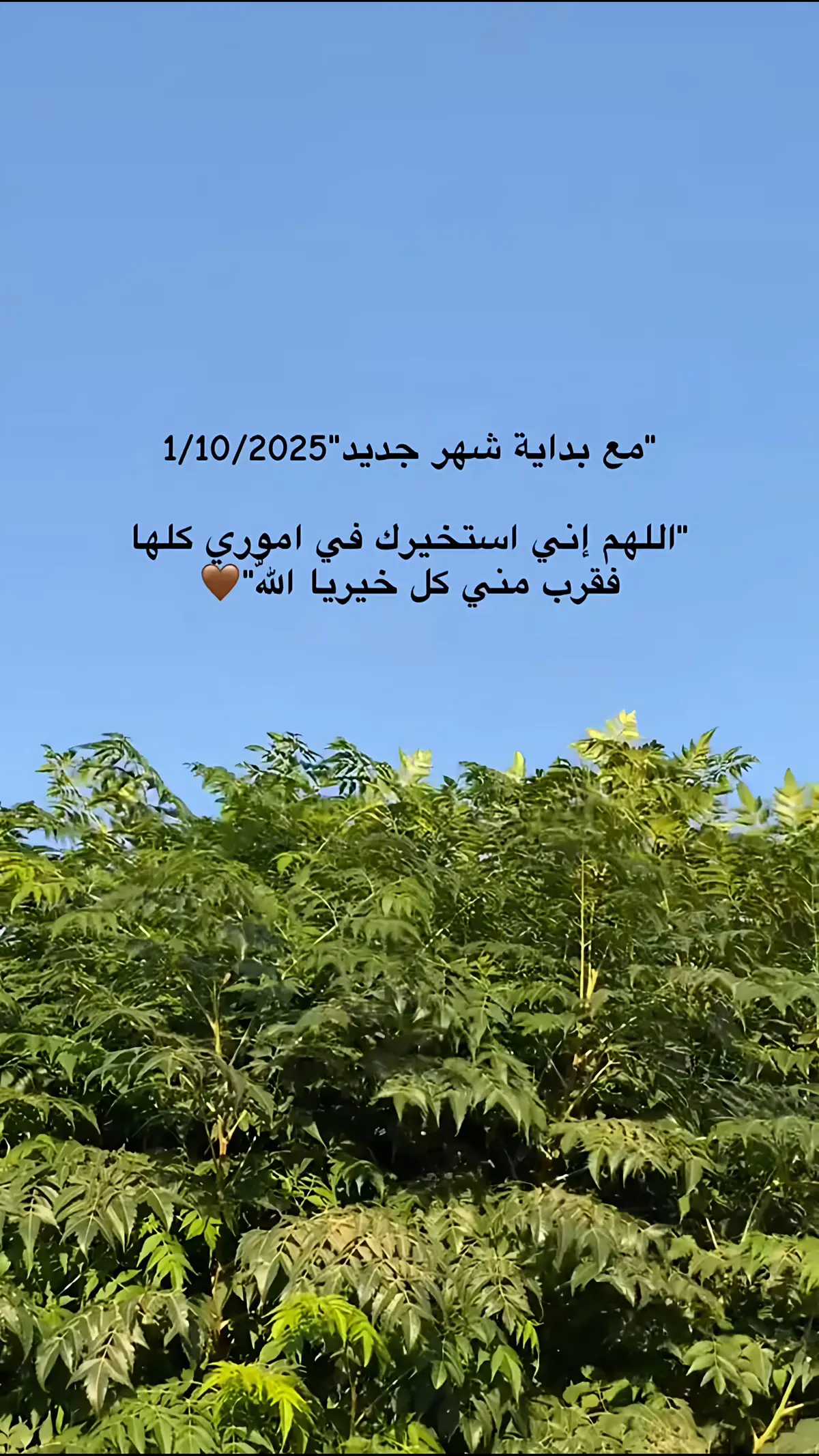 #اللهم_امين #یارب_العالمیــــــــــن🤲🏻🥺 