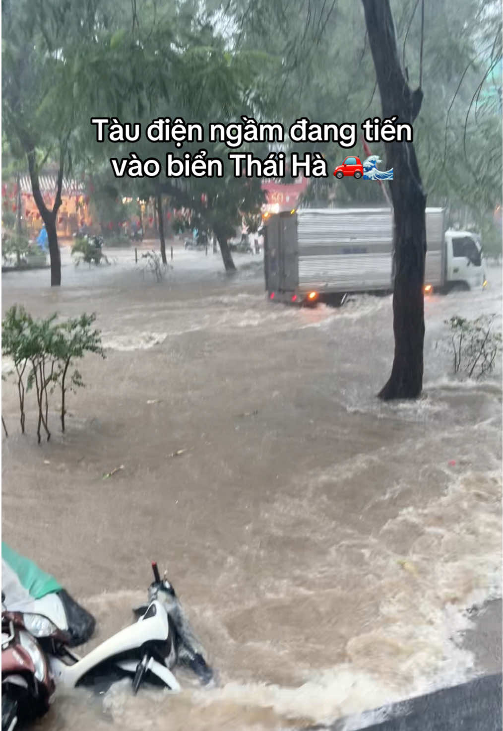 Ko chỉ mỗi Sầm Sơn mà HN cũng có sóng đánh tụt🩲🤣 Các bác ở Thái Hà đi làm về kiểu gì vậy ạ? #baoso10 #bao #thaiha #mưagióbãobùng #fyp 