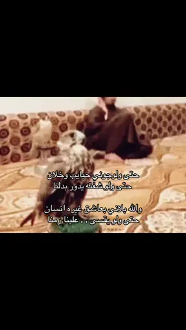 #you #شيلات #صقر #W 
