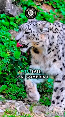 j’ai compris une chose dans la vie…#conseil #verite #motivation #france 