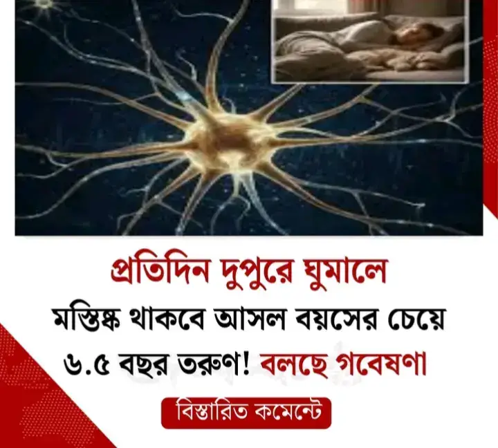 নিয়মিত দুপুরে ঘুমানো শুধু ক্লান্তি দূর করে না, বরং মস্তিষ্ককে তরুণ ও সুস্থ রাখতেও সাহায্য করতে পারে— এমনই চমকপ্রদ তথ্য উঠে এসেছে নতুন এক গবেষণায়। গবেষণার মূল তথ্য: আন্তর্জাতিক জার্নাল Sleep Health-এ প্রকাশিত গবেষণায় ৪০ থেকে ৬৯ বছর বয়সী ৩ লাখ ৭৮ হাজারেরও বেশি মানুষের তথ্য বিশ্লেষণ করা হয়েছে। যেসব মানুষ জেনেটিকভাবে নিয়মিত দুপুরে ঘুমানোর অভ্যাসী, তাদের মস্তিষ্কের মোট ভলিউম বা আয়তন অন্যদের তুলনায় বেশি পাওয়া গেছে। গবেষকরা জানাচ্ছেন, এই পার্থক্য এমনই গুরুত্বপূর্ণ যে, এটি মস্তিষ্ককে প্রায় ২.৬ থেকে ৬.৫ বছর কম বয়সী বলে মনে করায়। কেন এটা গুরুত্বপূর্ণ: বড় মস্তিষ্কের ভলিউম সাধারণত ভালো মানসিক স্বাস্থ্য, উন্নত স্মৃতিশক্তি এবং ডিমেনশিয়াসহ বয়সজনিত মানসিক রোগের ঝুঁকি কমার সঙ্গে সম্পর্কিত। পদ্ধতি: গবেষকরা Mendelian randomization নামক একটি আধুনিক পদ্ধতি ব্যবহার করেছেন। এতে জেনেটিক বৈশিষ্ট্য বিশ্লেষণ করে কারণ-ফলাফল সম্পর্ক নির্ধারণ করা হয়, ফলে বিভ্রান্তিকর অন্যান্য প্রভাব কমে যায়। তবে সতর্কতা: গবেষণায় সরাসরি মানসিক কর্মক্ষমতা মাপা হয়নি। আবার সবার জন্য ঘুমের সময় এক রকম নয়। বিশেষজ্ঞরা জানাচ্ছেন, সাধারণত দুপুরে ১০ থেকে ৩০ মিনিটের ছোট ঘুমই সবচেয়ে কার্যকর। দীর্ঘ সময়ের ঘুম বা বিকেলের দিকের ঘুম রাতের ঘুমে ব্যাঘাত ঘটাতে পারে। সংক্ষেপে: প্রতিদিনের জীবনে স্বল্প সময়ের দুপুরের ঘুম অন্তর্ভুক্ত করলে তা মস্তিষ্ককে তরুণ রাখতে এবং বয়সজনিত মানসিক অবনতি কমাতে কার্যকর হতে পারে #জীবন_চক্র #writer #foryou #inspiration #motivation 